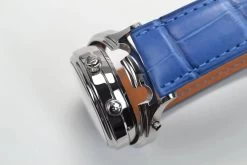 Alexander Shorokhoff Swan Lake AVG -Modeuhren alexander shorokhoff swan lake avg4